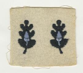 U.S. Navy Medical Corps insignia of two oak leaves with acorns