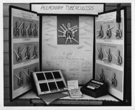 Lung Pathology Display