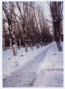 Kurchatov 1/1998 [landscape]