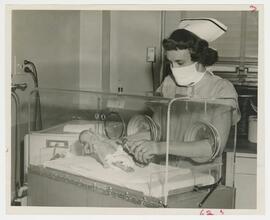 Feeding premature infant in incubator