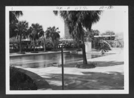 Prudential Swimming Pool in the Texas Medical Center