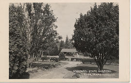 Grounds, State Hospital, Rusk, Texas