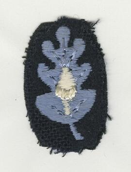 U.S. Navy Medical Corps insignia of oak leaf with acorn