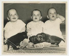 Triplet babies with puppies